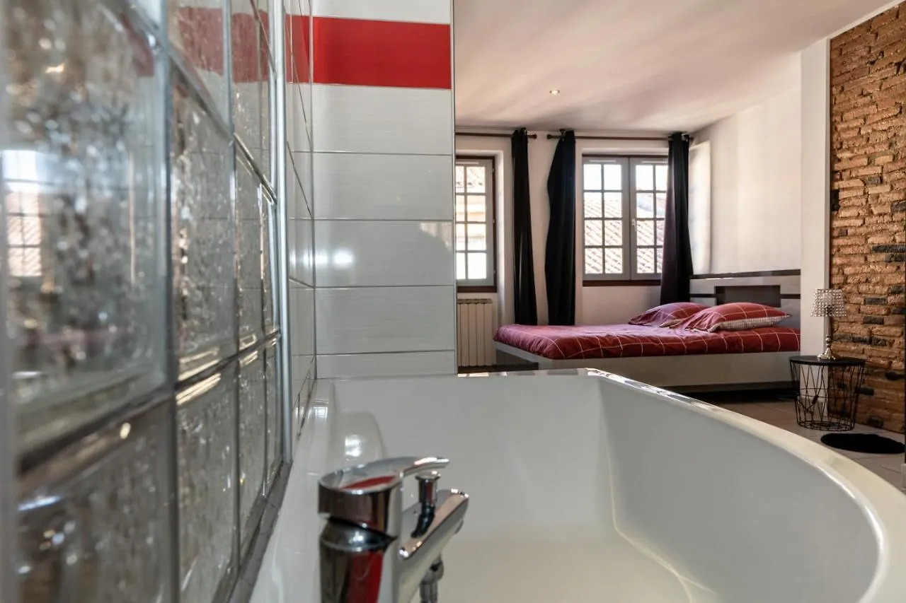 Apartment Place Nationale - Spacieux Et Atypique -10 Minutes A Pied De La Gare - Hypercentre Et Coeur Historique De Montauban -