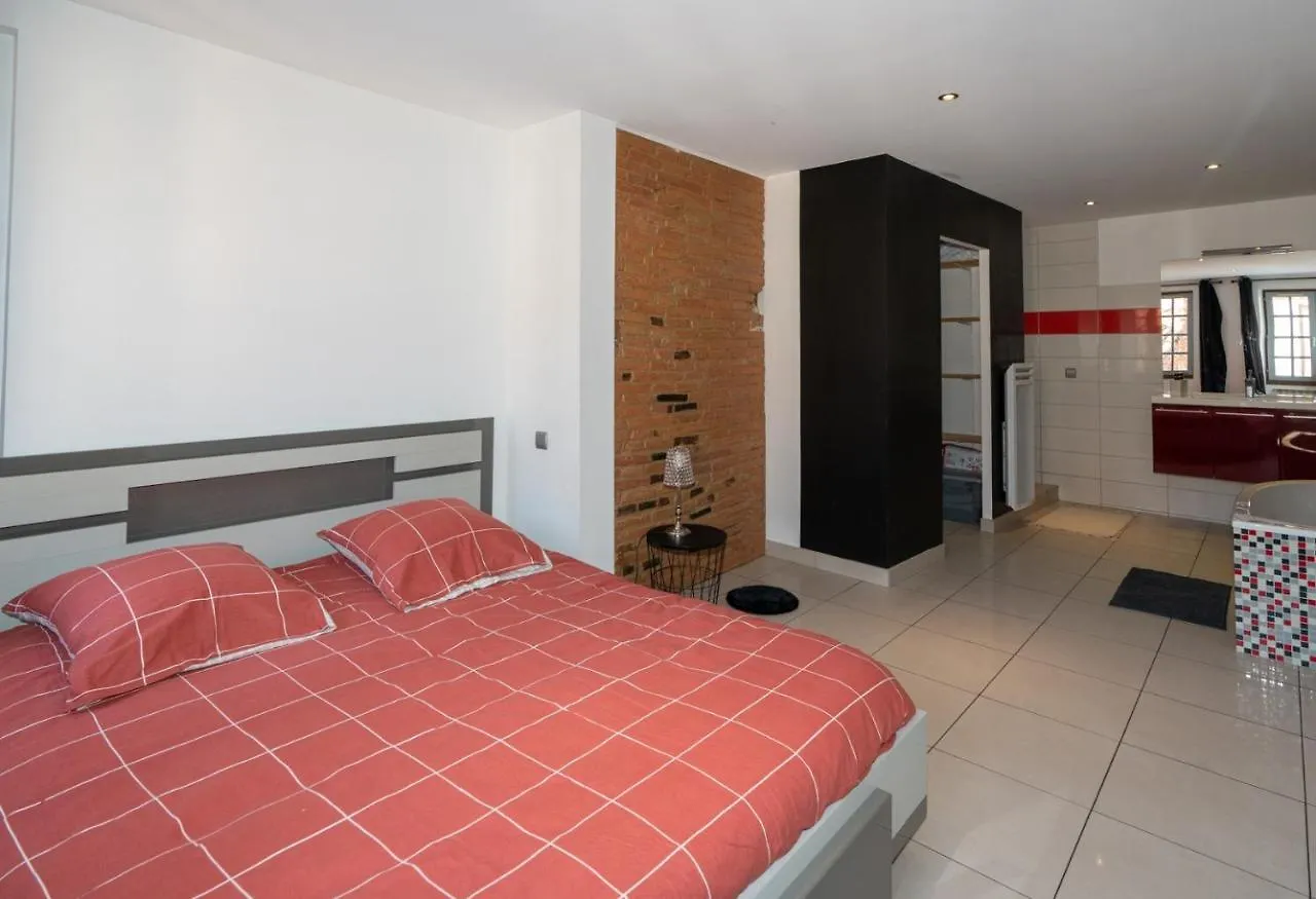 Apartment Place Nationale - Spacieux Et Atypique -10 Minutes A Pied De La Gare - Hypercentre Et Coeur Historique De Montauban -